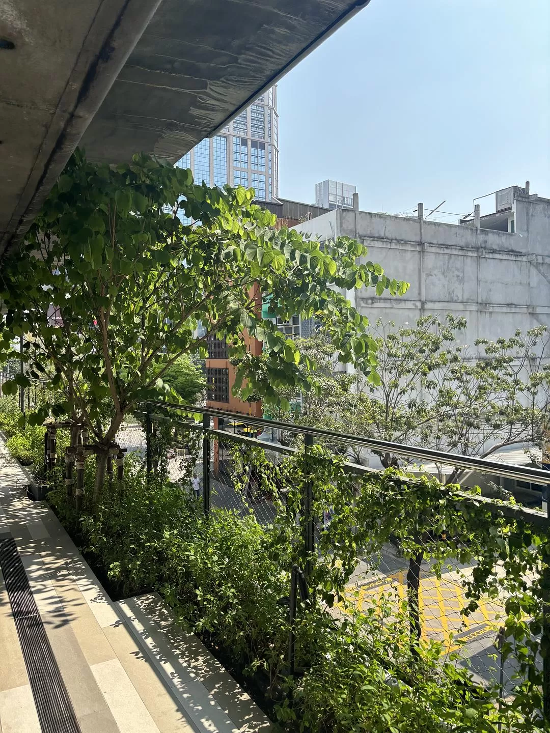 旅游推荐🤬一人游：因为想看演唱会所以独自一人的曼谷+东京七日游