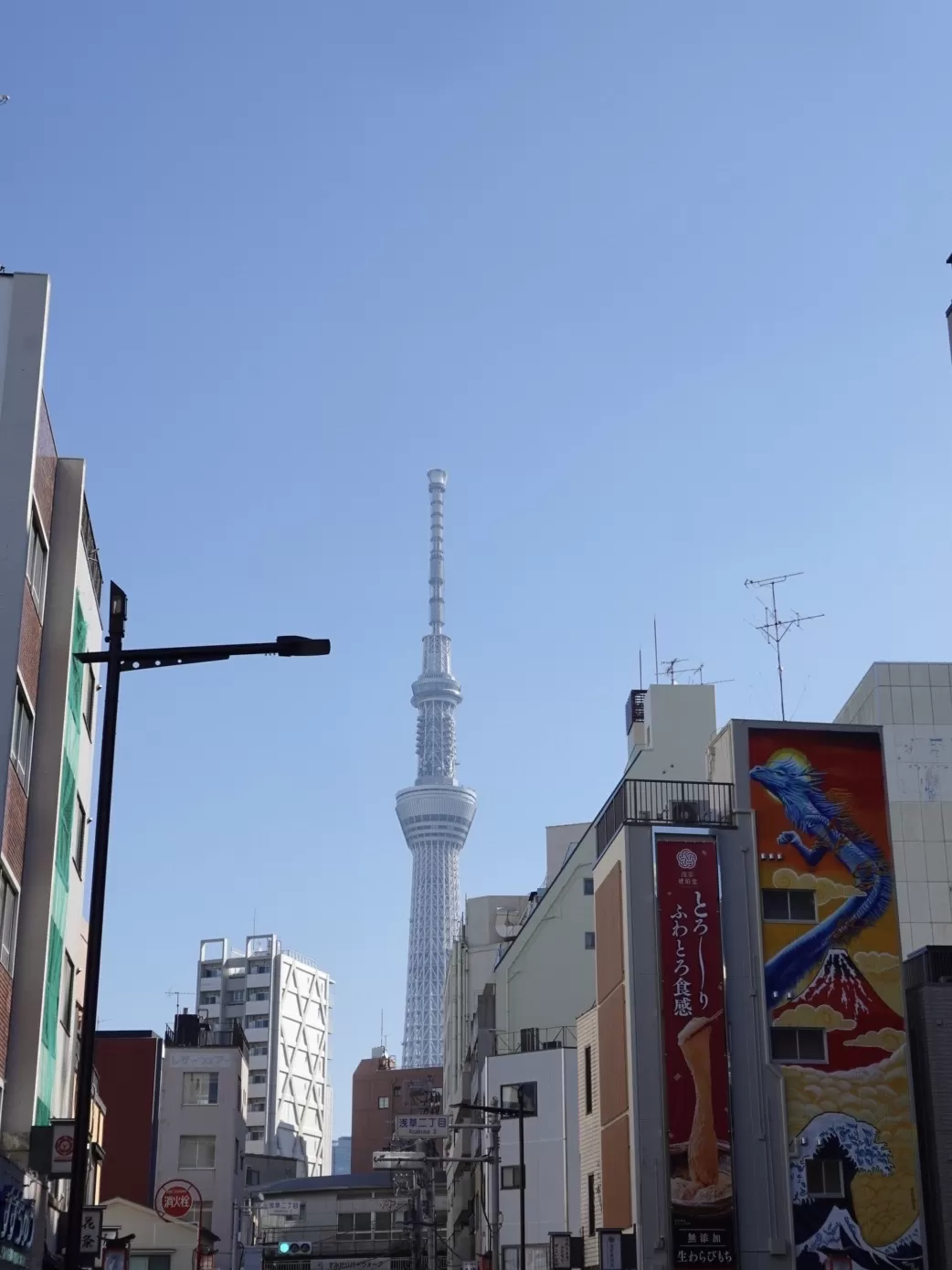 旅游推荐🤬一人游：因为想看演唱会所以独自一人的曼谷+东京七日游