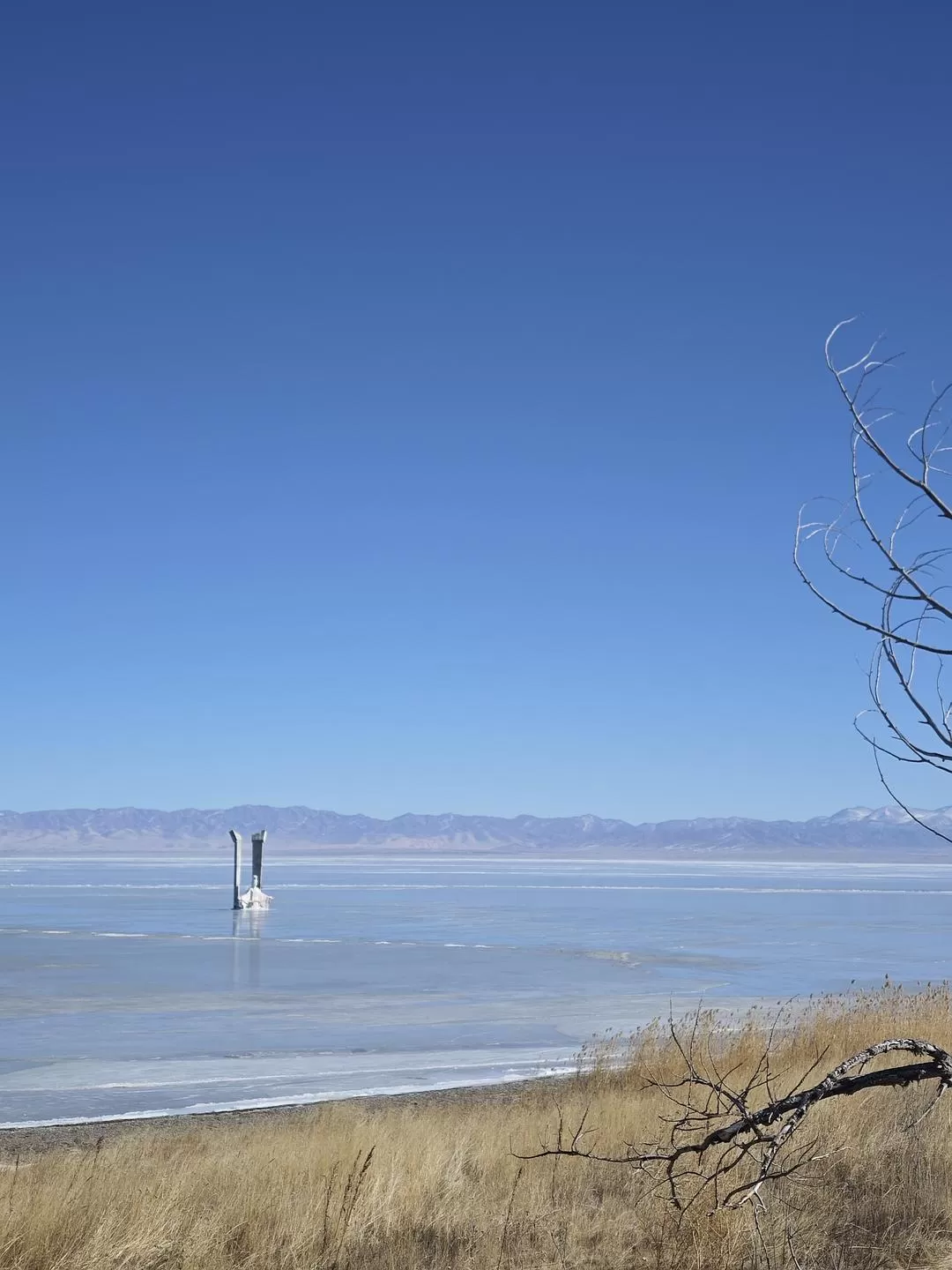 旅游推荐🈲一人游：兰州-西宁-拉萨-林芝*1