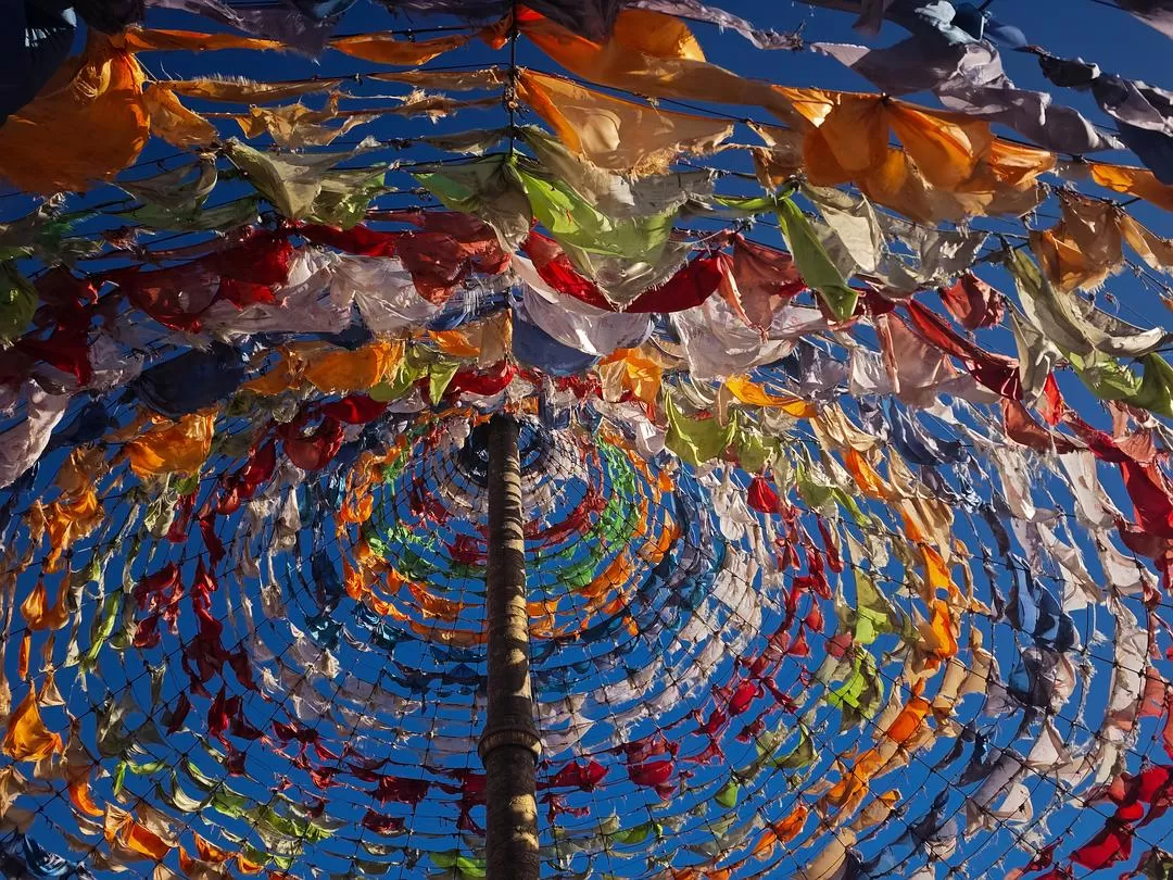 旅游推荐🈲一人游：兰州-西宁-拉萨-林芝*1