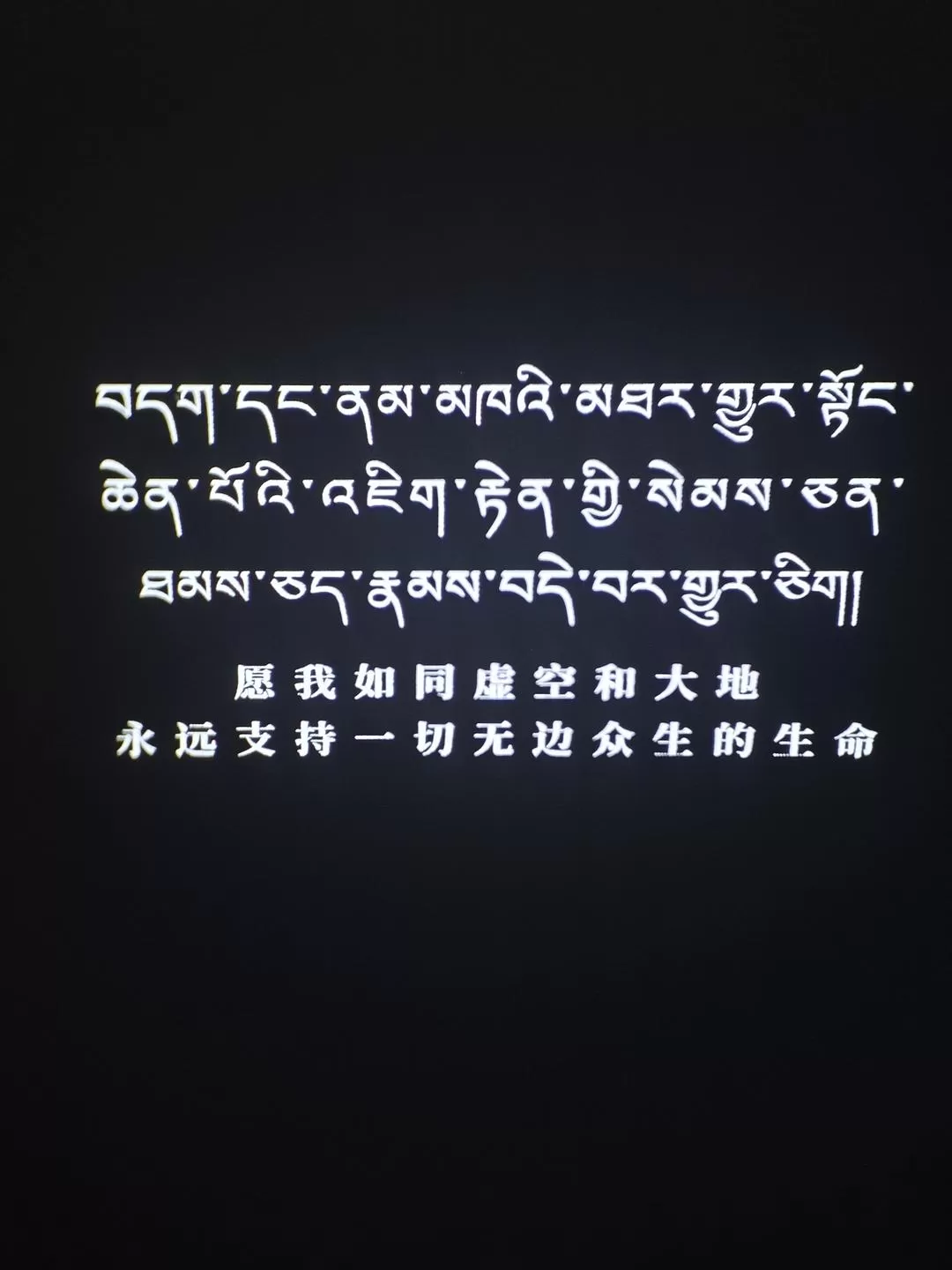 旅游推荐🈲一人游：兰州-西宁-拉萨-林芝*1