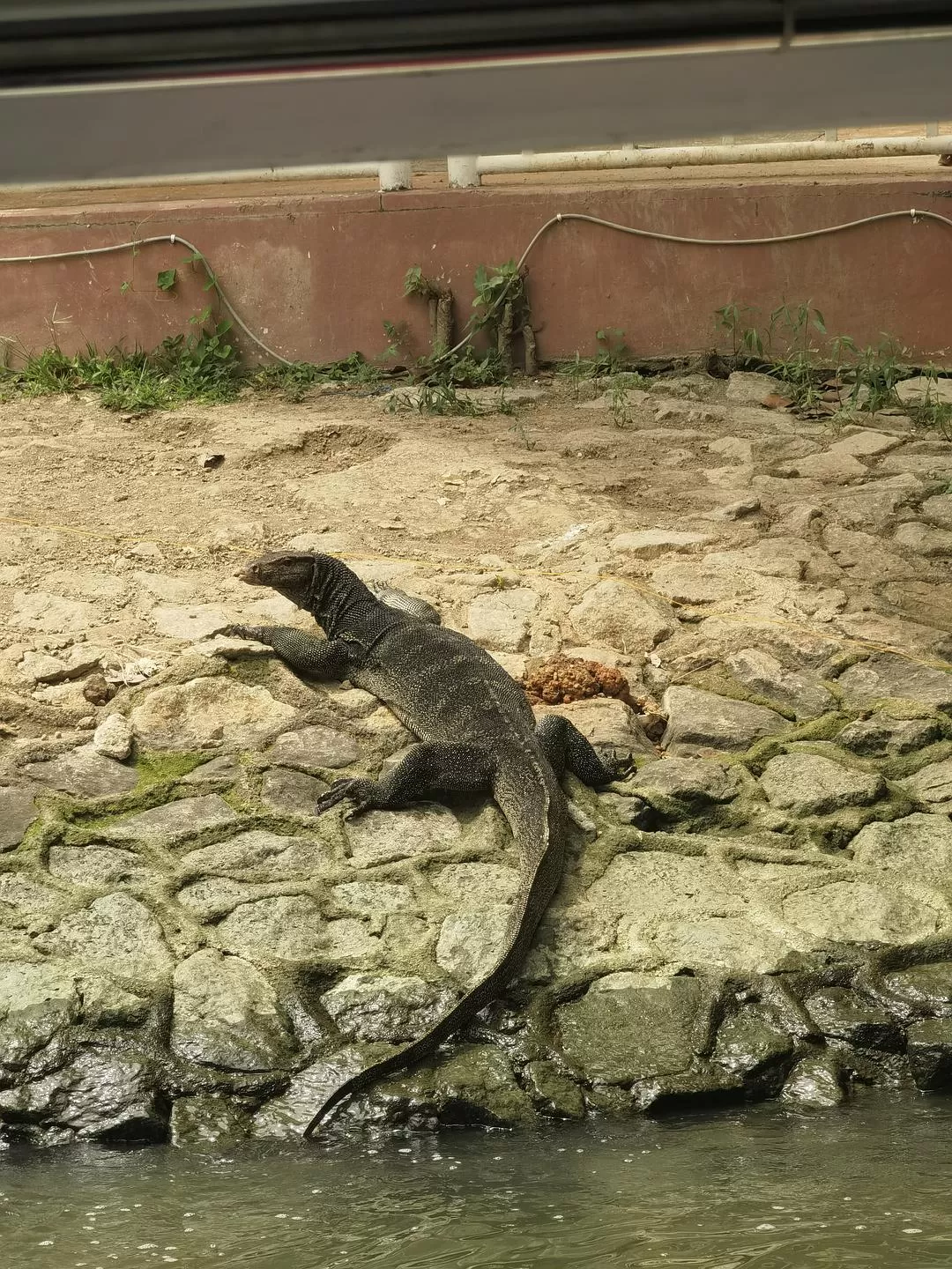 旅游推荐🔥国外游：和妈妈一起的马来西亚🇲🇾四城大成功！