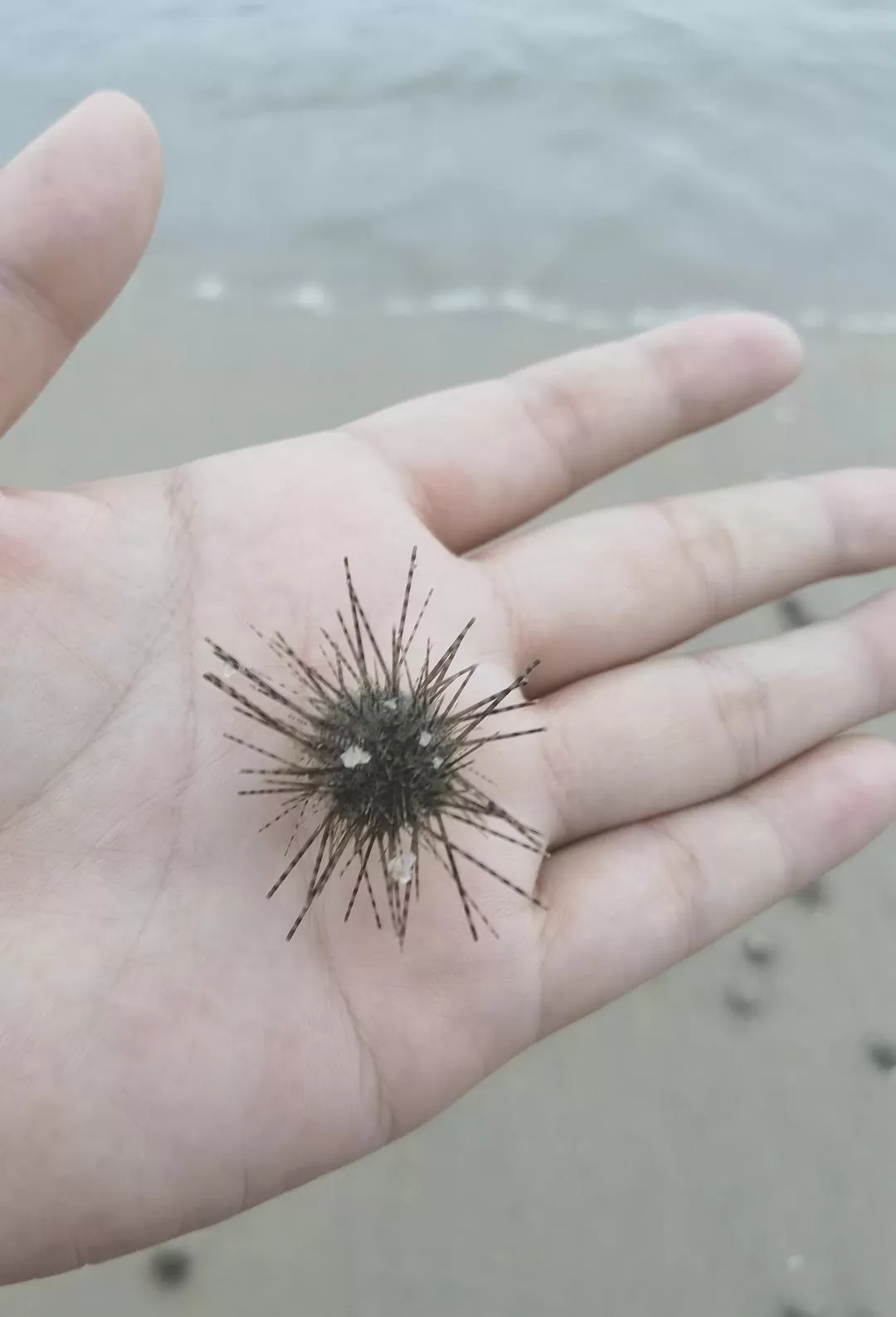 旅游推荐🔥国外游：和妈妈一起的马来西亚🇲🇾四城大成功！