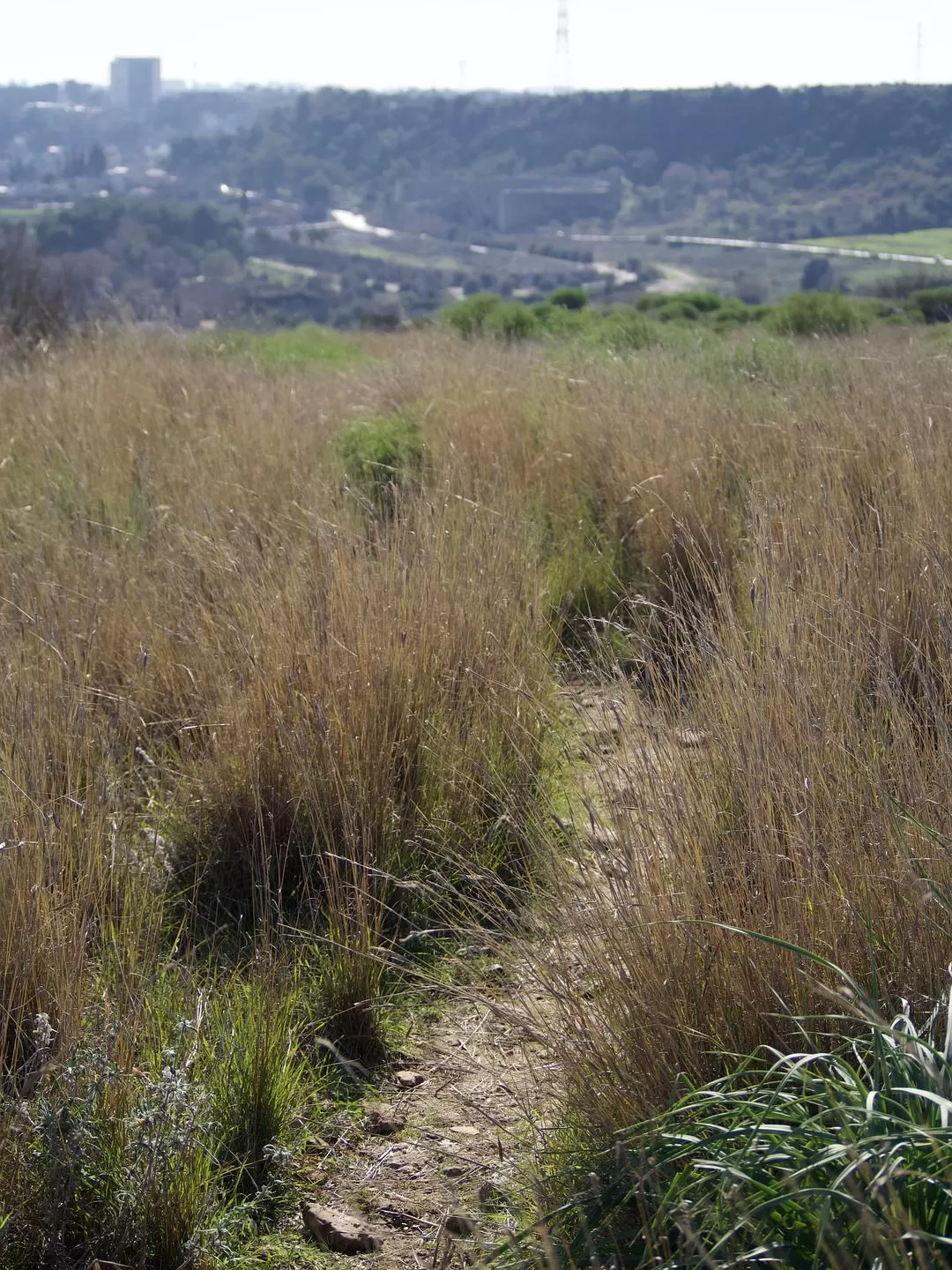 旅游推荐🌟国外游：一人游 春节期间土耳其13日（伊斯坦布尔 安塔利亚）
