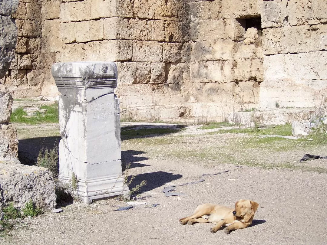 旅游推荐🌟国外游：一人游 春节期间土耳其13日（伊斯坦布尔 安塔利亚）
