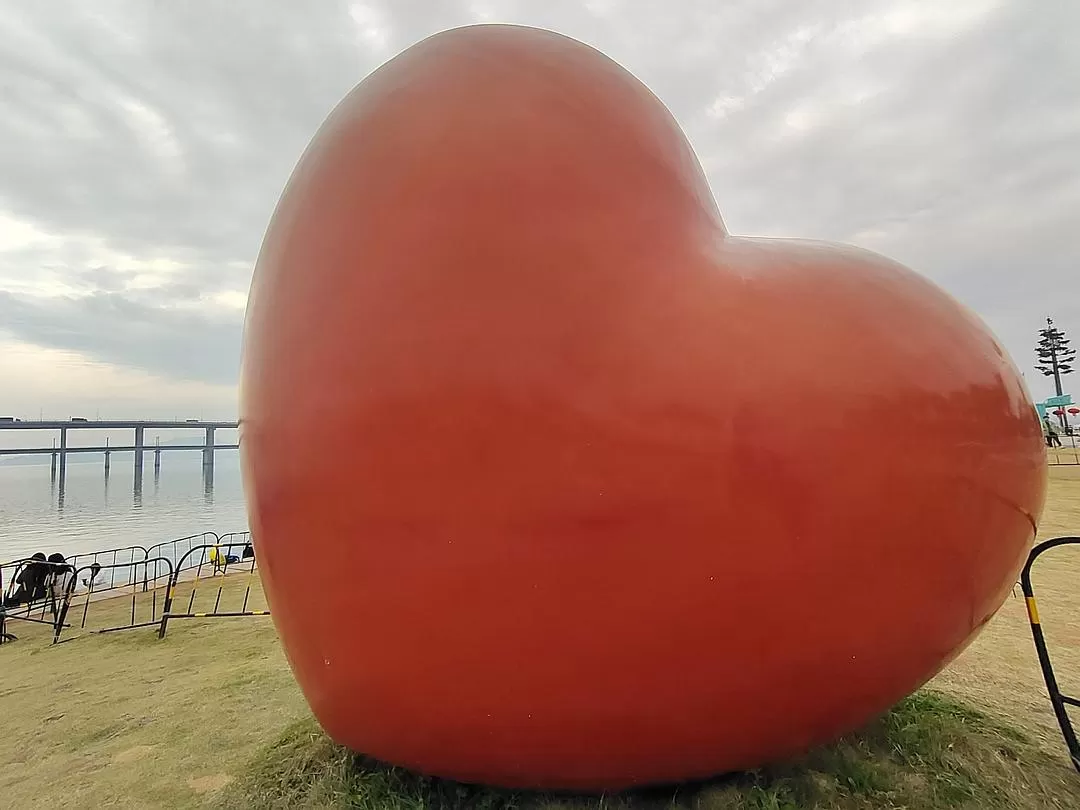 旅游推荐🌟家庭游:寒假游厦门