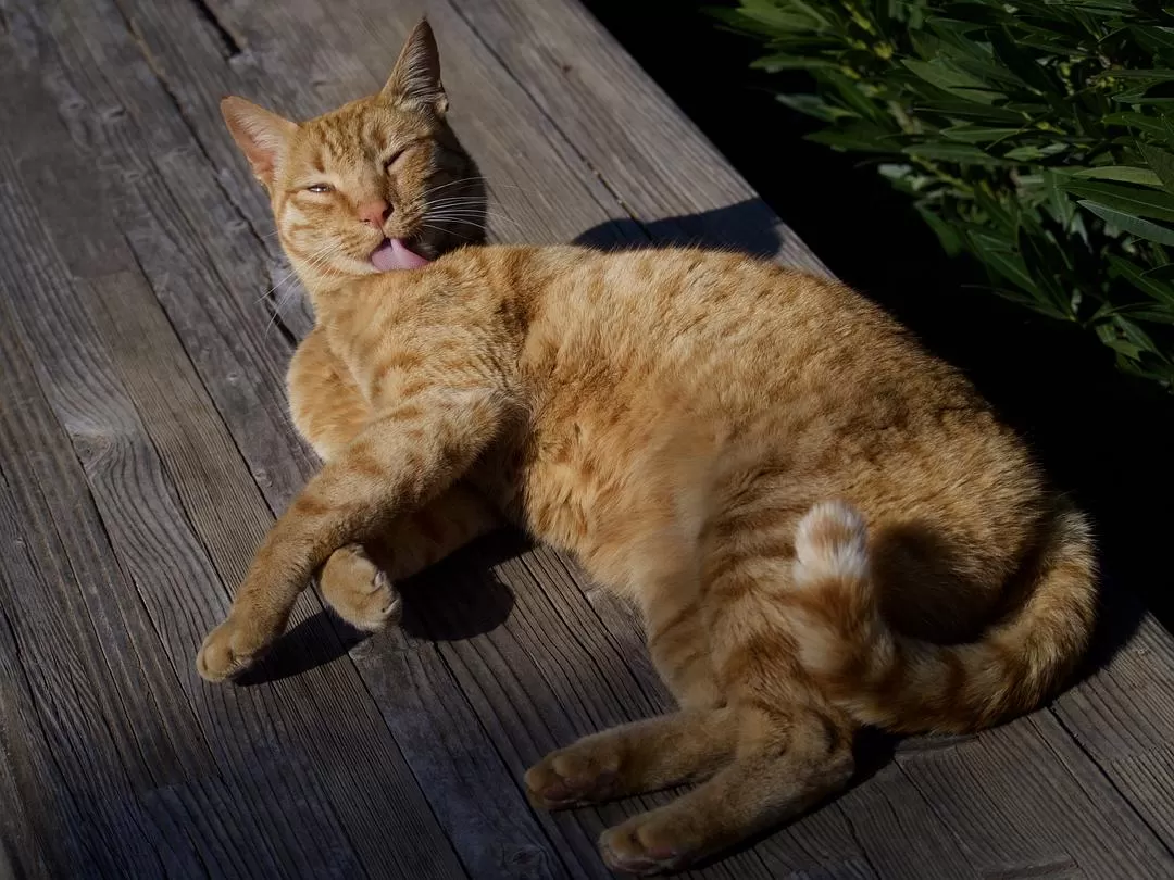 旅游推荐🌟国外游：一人游 春节期间土耳其13日（伊斯坦布尔 安塔利亚）