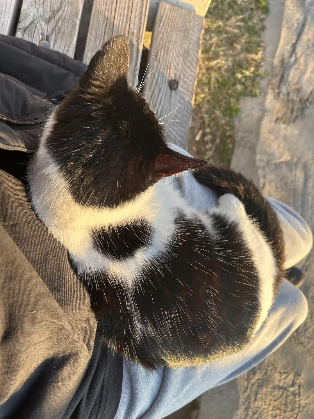 旅游推荐🌟国外游：一人游 春节期间土耳其13日（伊斯坦布尔 安塔利亚）