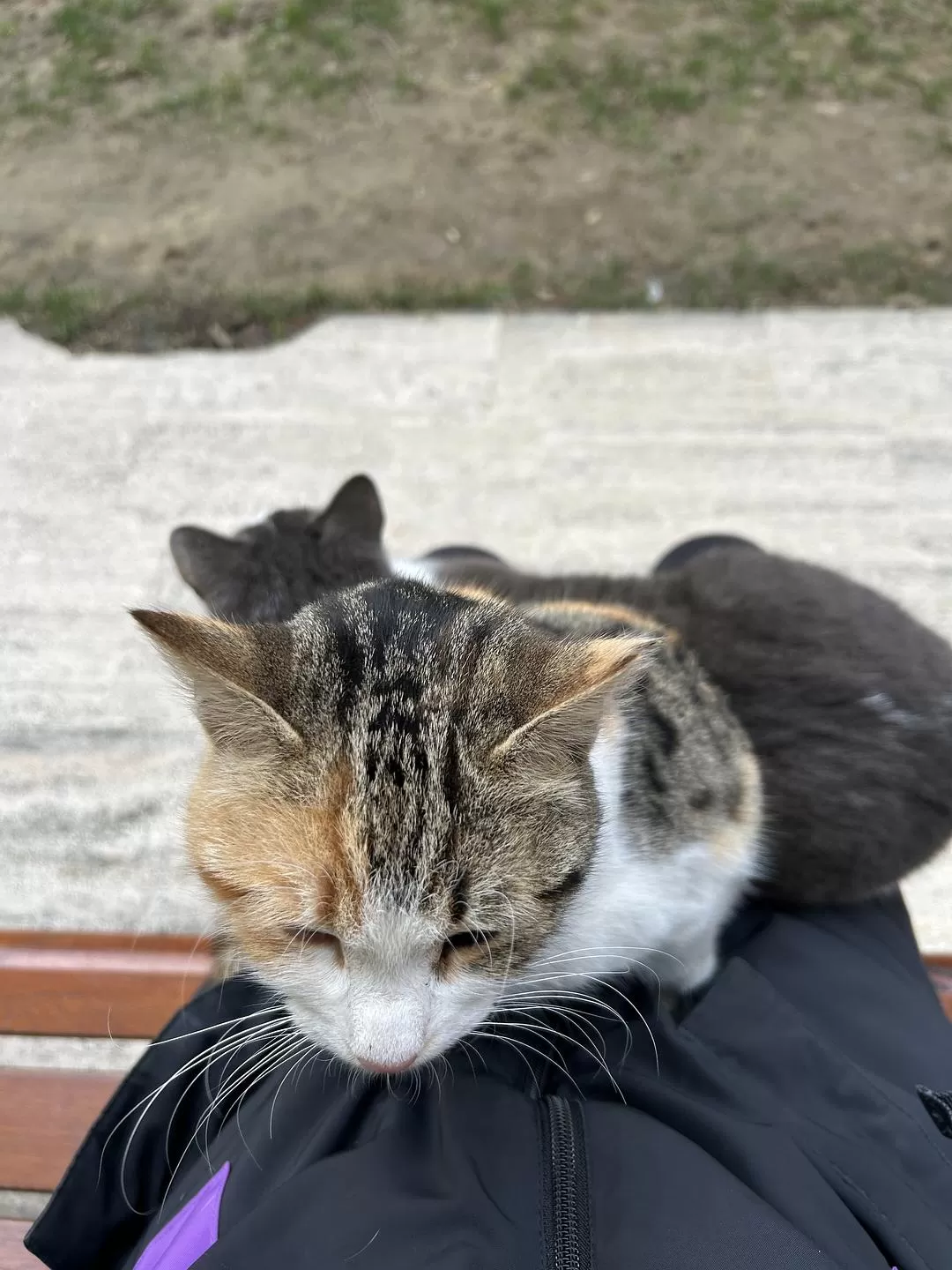 旅游推荐🌟国外游：一人游 春节期间土耳其13日（伊斯坦布尔 安塔利亚）