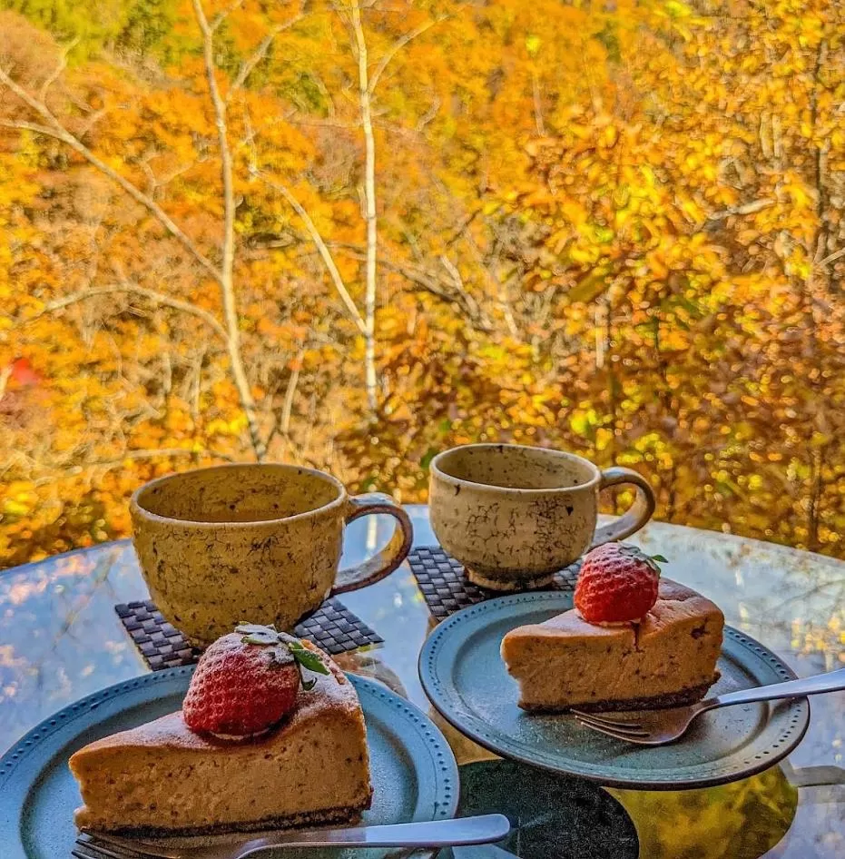 旅游推荐🏆一人游：北海道六天五夜 超绝破天荒震碎P人小众路线攻略