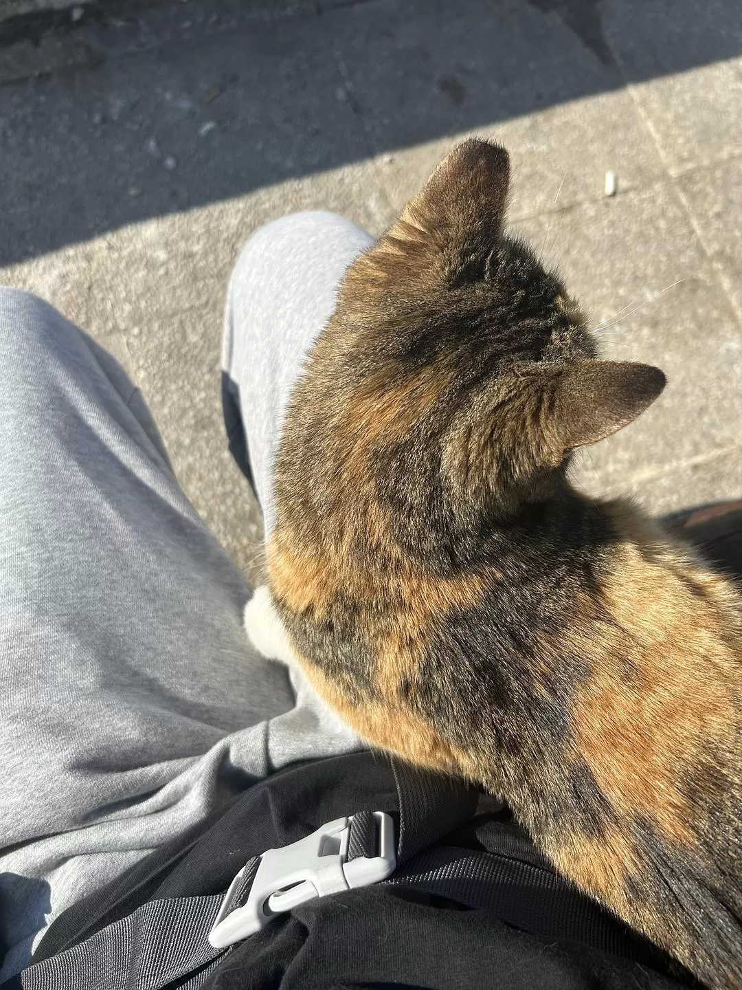 旅游推荐🌟国外游：一人游 春节期间土耳其13日（伊斯坦布尔 安塔利亚）