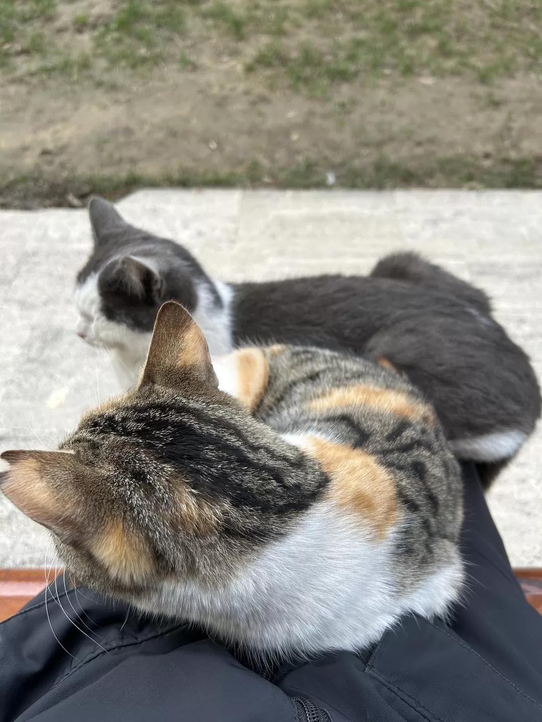 旅游推荐🌟国外游：一人游 春节期间土耳其13日（伊斯坦布尔 安塔利亚）