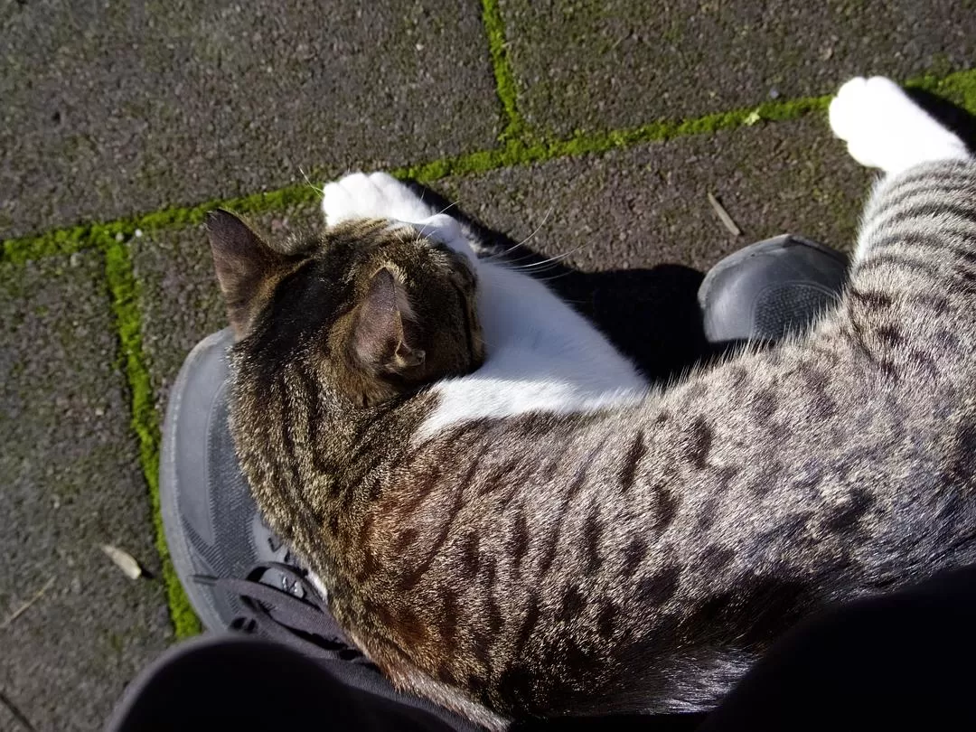 旅游推荐🌟国外游：一人游 春节期间土耳其13日（伊斯坦布尔 安塔利亚）