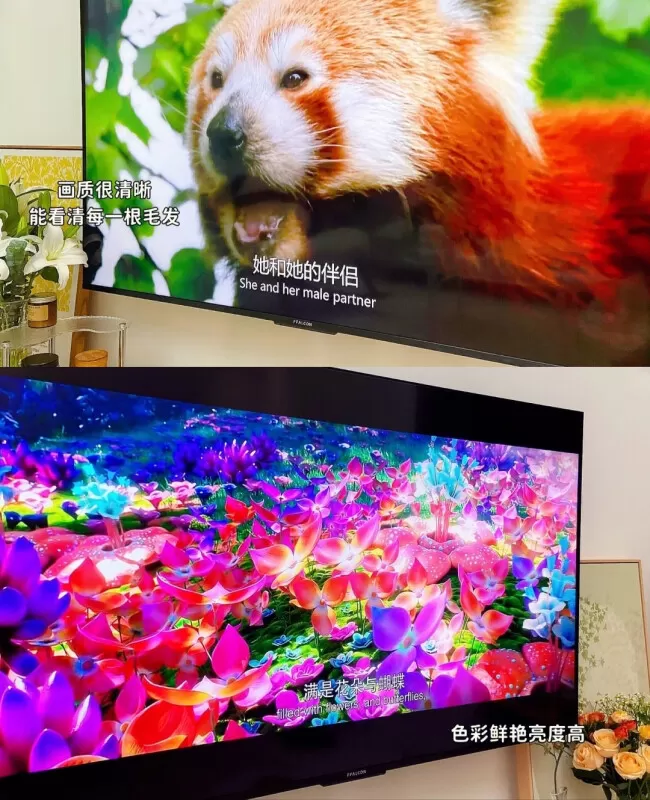 🔥雷鸟75寸鹤6Pro智慧屏平板游戏电视75寸评测雷鸟液晶电视怎么样?