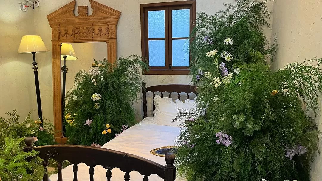 旅游推荐🔥一人游:泉州旅游成功