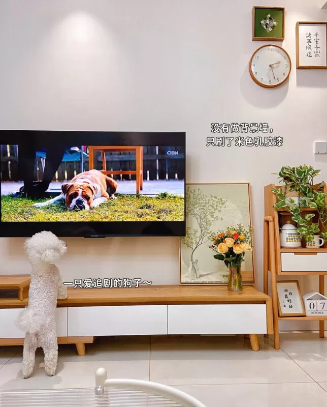 🔥雷鸟75寸鹤6Pro智慧屏平板游戏电视75寸评测雷鸟液晶电视怎么样?