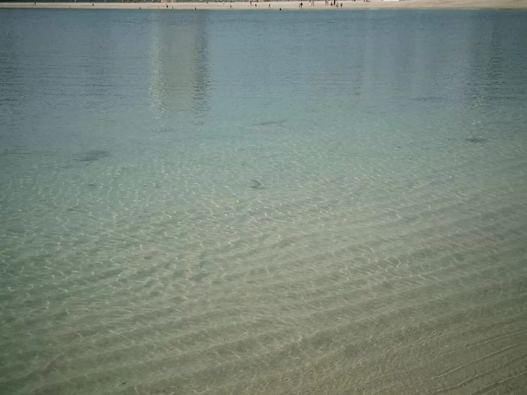 旅游推荐💗一人游：📷记录一下说走就走的关西solo trip