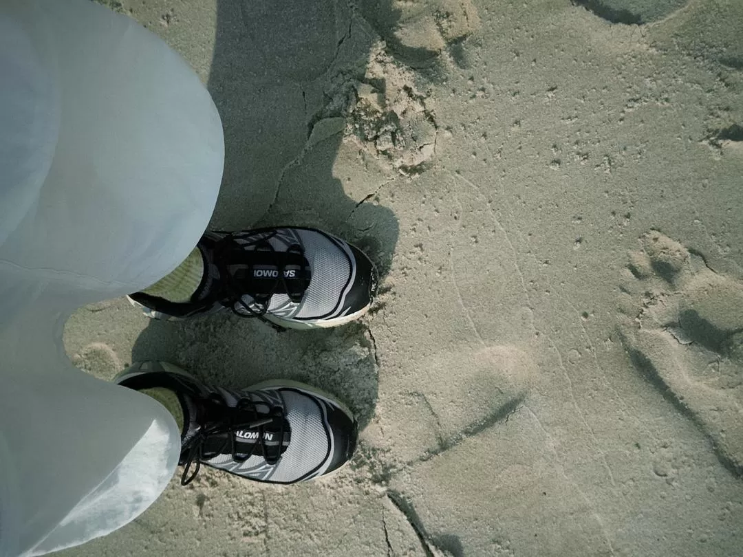 旅游推荐💗一人游：📷记录一下说走就走的关西solo trip