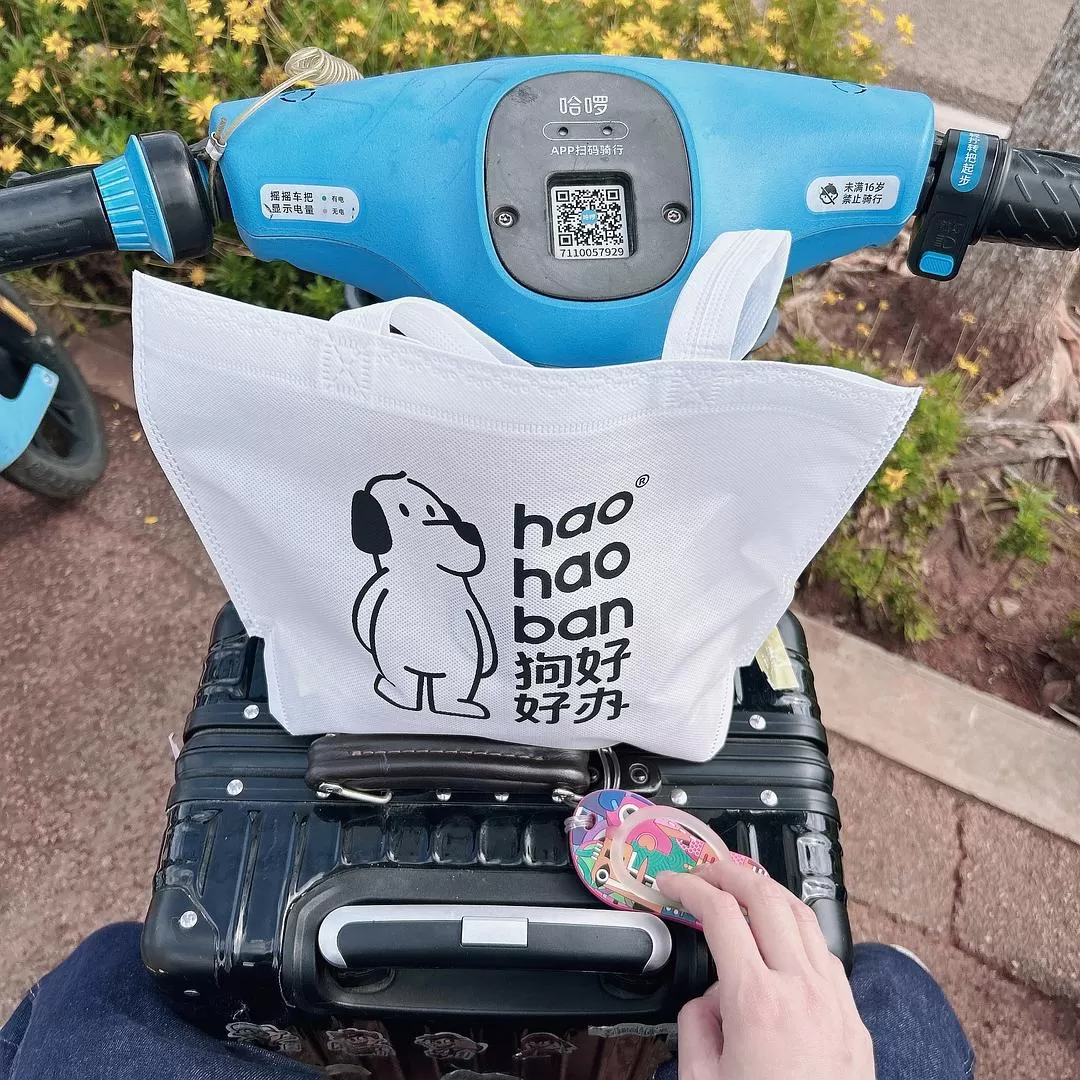 旅游推荐💥一人游：西双版纳-普洱-玉溪-昆明米线之旅成功