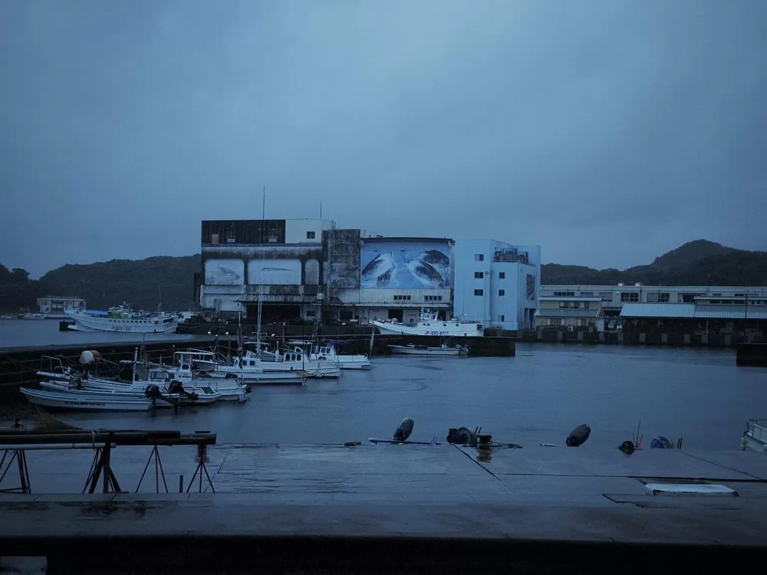 旅游推荐💗一人游：📷记录一下说走就走的关西solo trip