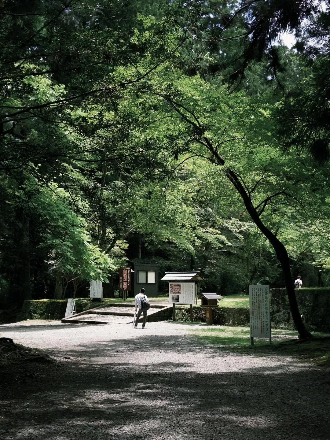 旅游推荐💗一人游：📷记录一下说走就走的关西solo trip