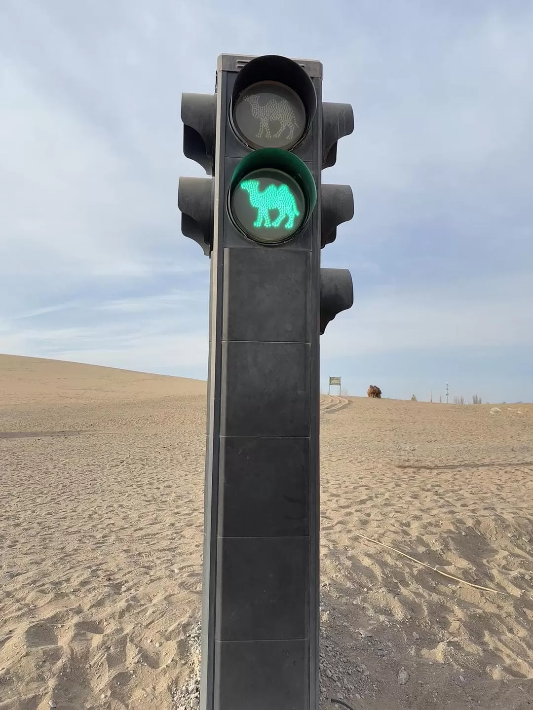 旅游推荐🉑一人游：春节成功的甘肃之旅