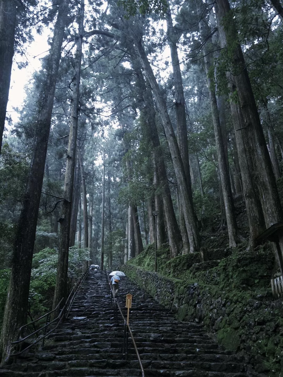 旅游推荐💗一人游：📷记录一下说走就走的关西solo trip