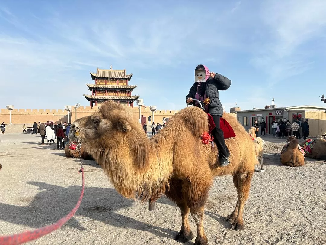 旅游推荐🉑一人游：春节成功的甘肃之旅