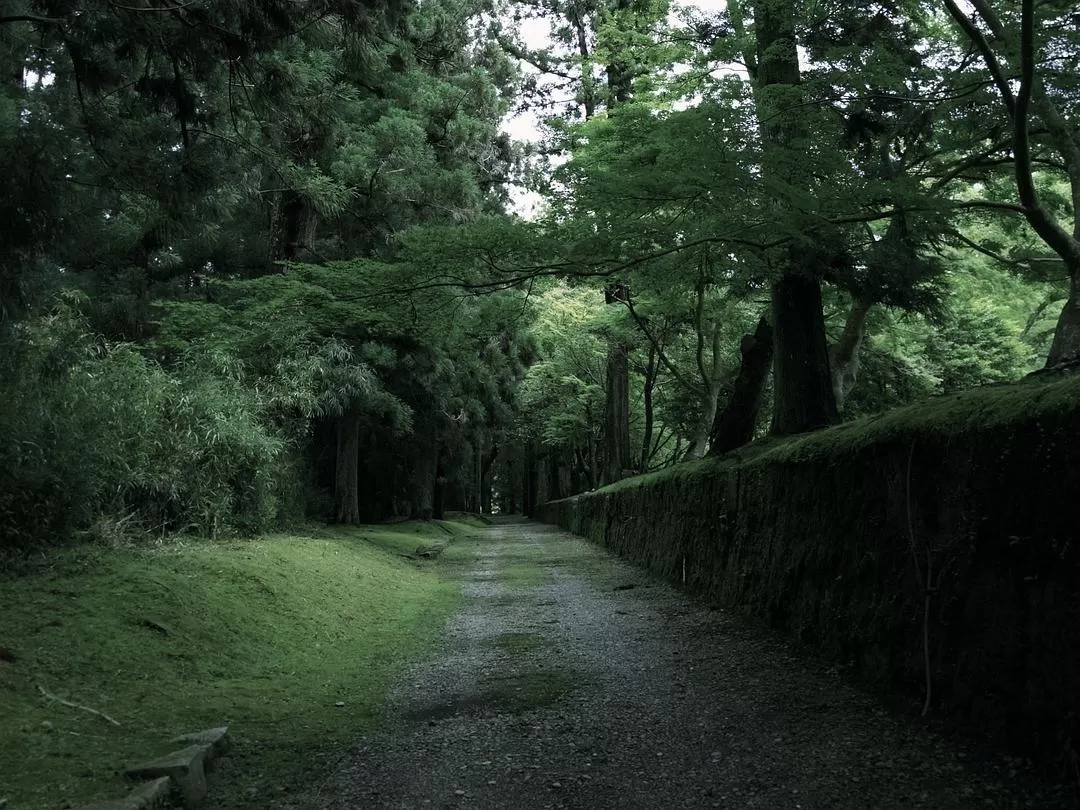 旅游推荐💗一人游：📷记录一下说走就走的关西solo trip