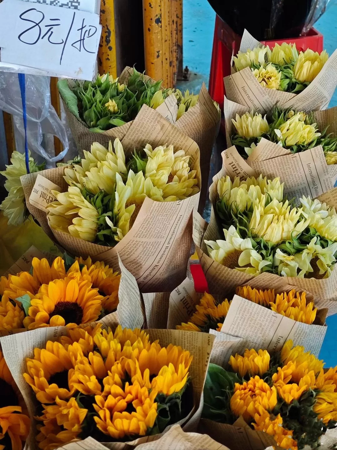 旅游推荐💥一人游：西双版纳-普洱-玉溪-昆明米线之旅成功