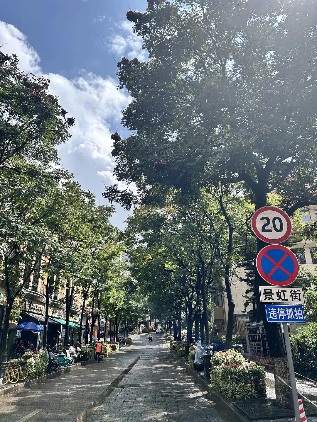 旅游推荐💥一人游:西双版纳-普洱-玉溪-昆明米线之旅成功