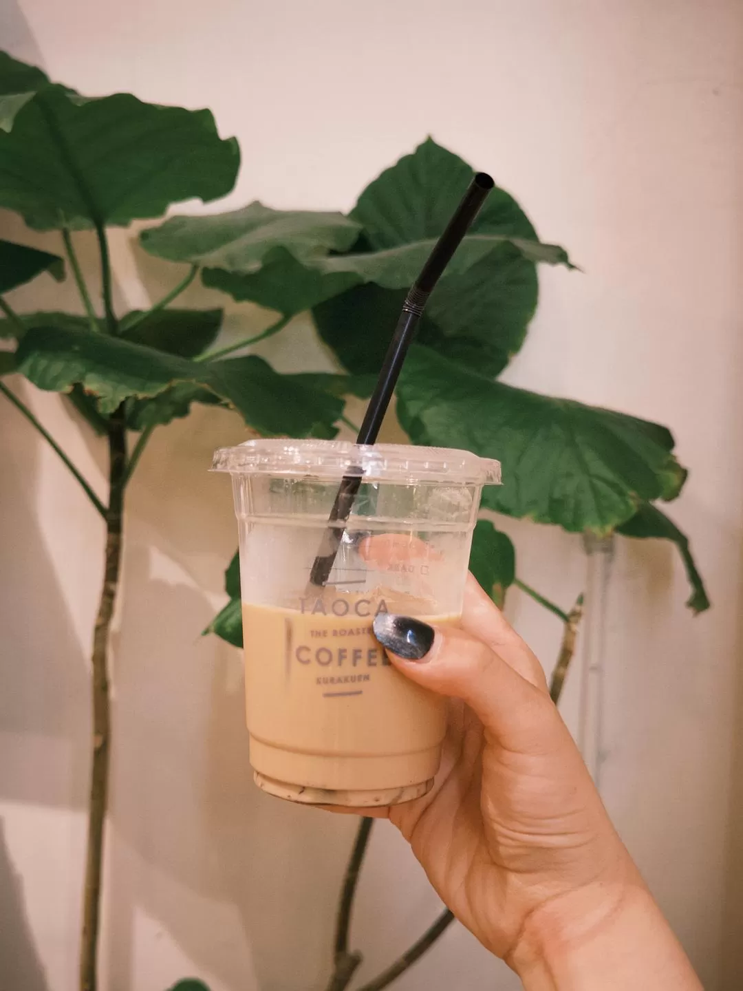 旅游推荐💗一人游：📷记录一下说走就走的关西solo trip