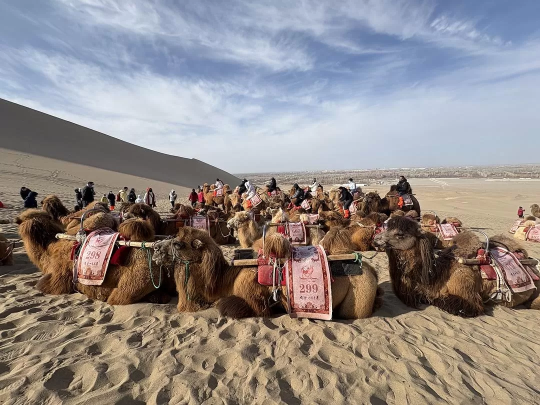 旅游推荐🉑一人游：春节成功的甘肃之旅