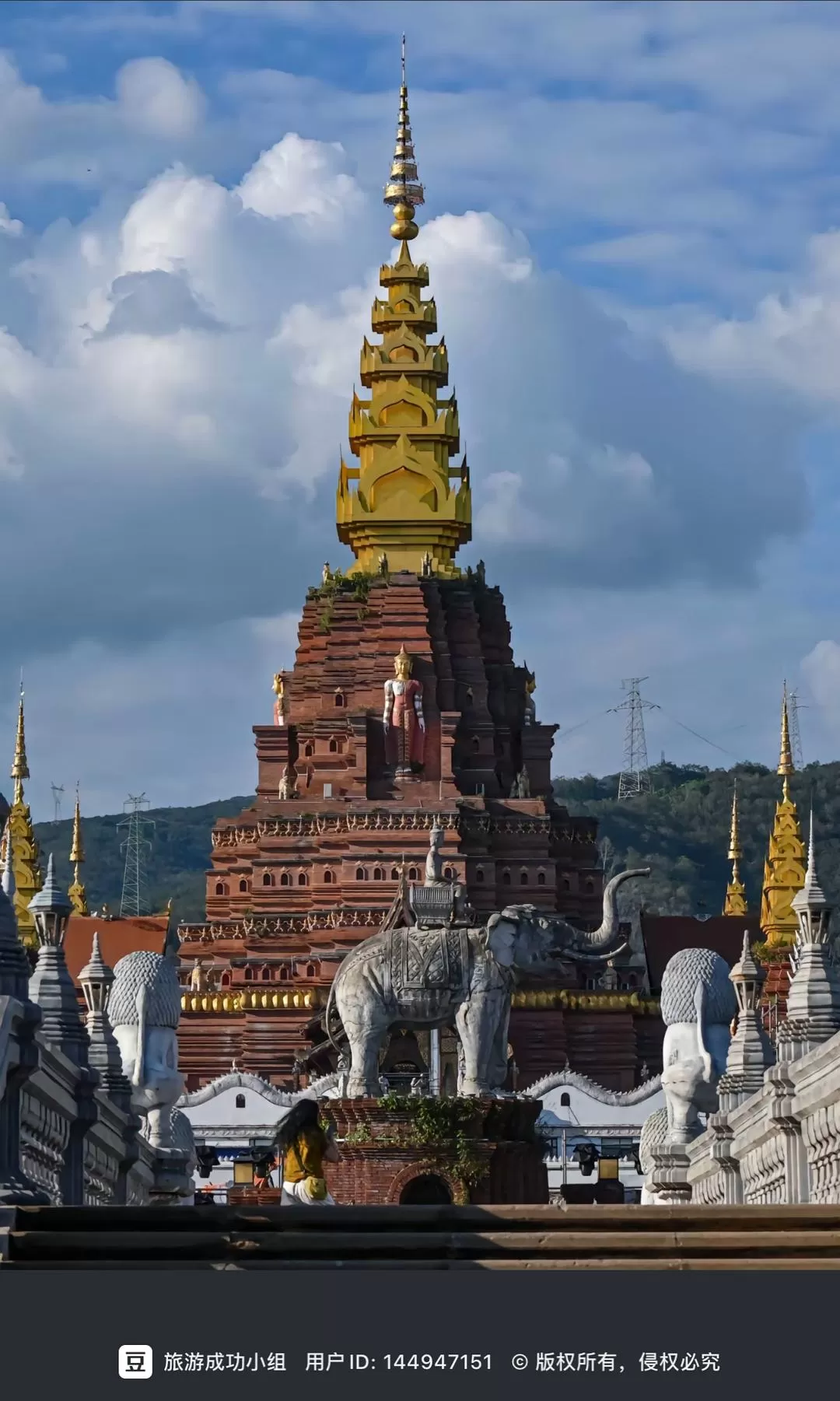 旅游推荐💥一人游:西双版纳-普洱-玉溪-昆明米线之旅成功