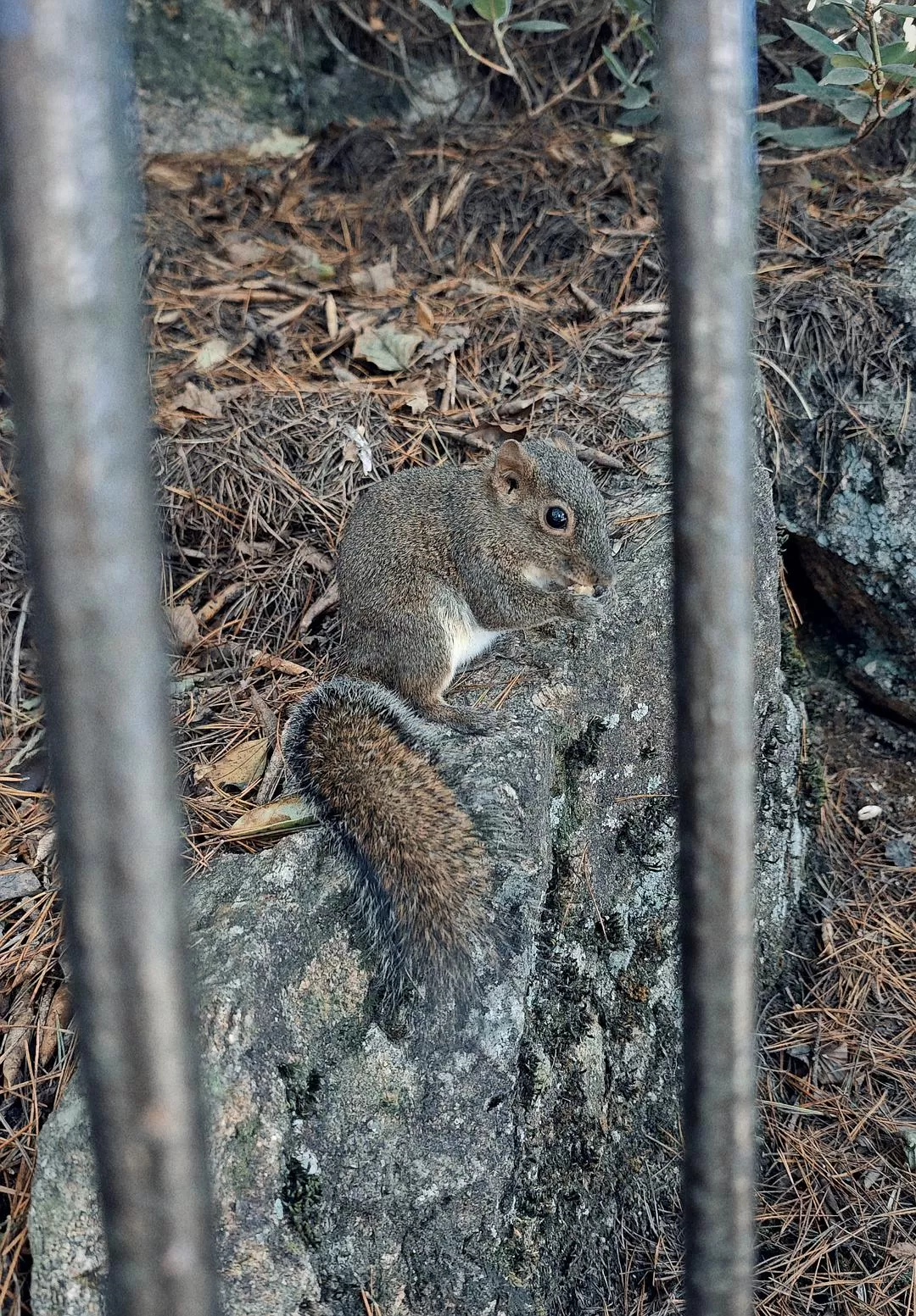 旅游推荐🏅一人游：在皖南黄昏和夜晚的缝隙里消融