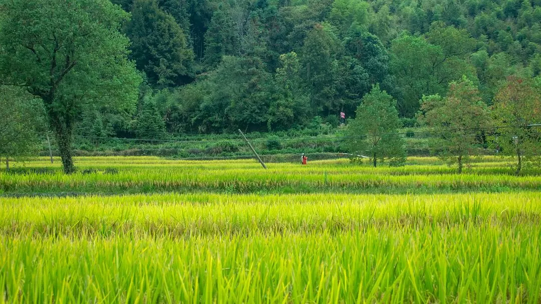 旅游推荐🏅一人游:在皖南黄昏和夜晚的缝隙里消融