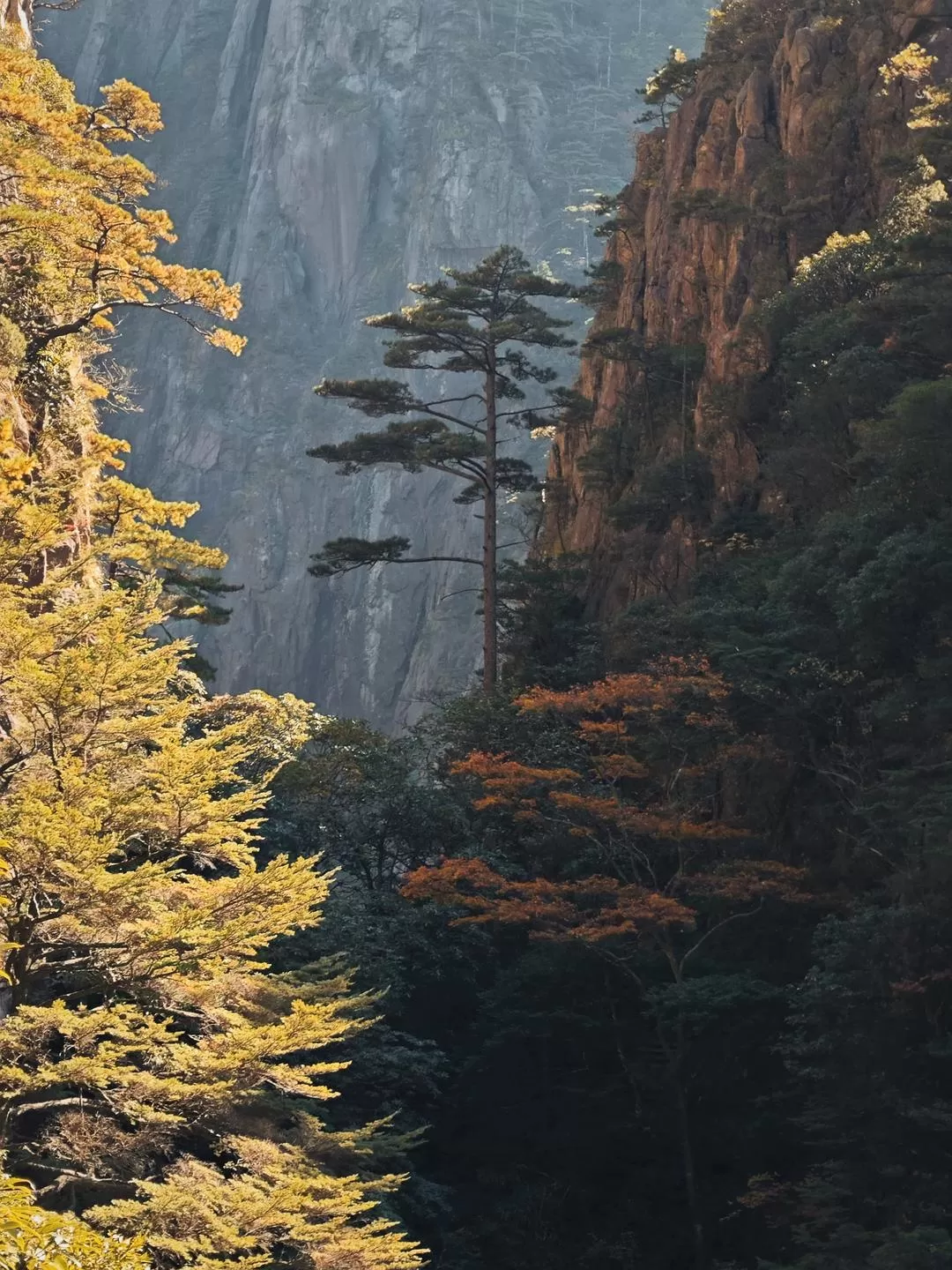 旅游推荐🏅一人游：在皖南黄昏和夜晚的缝隙里消融