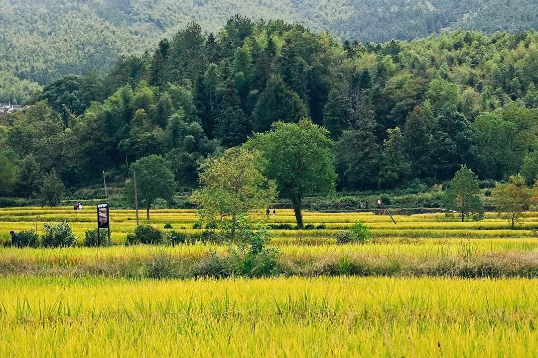 旅游推荐🏅一人游:在皖南黄昏和夜晚的缝隙里消融