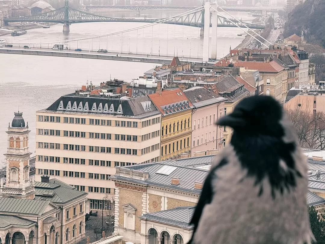 旅游推荐💥国外游：2025年春节，三个女生12日奥匈捷自由行大成功