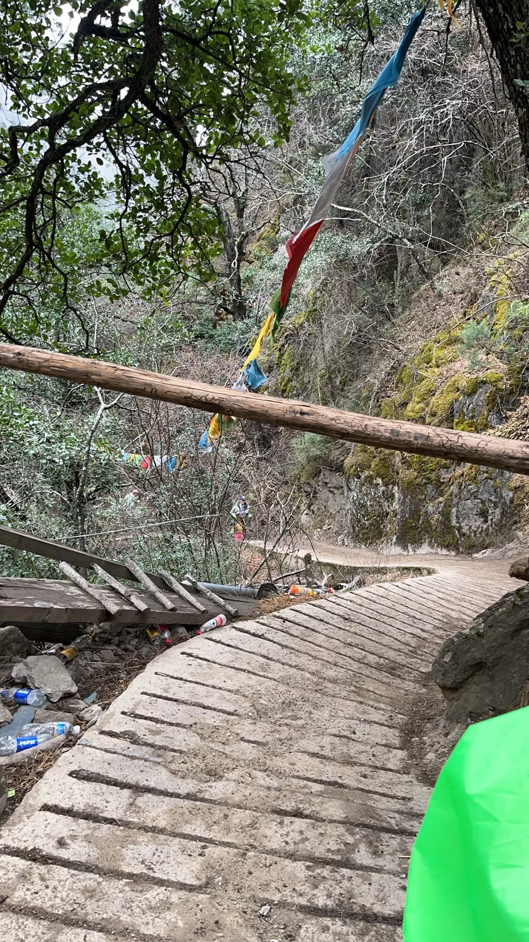 旅游推荐🥉一人游：雨崩&孔雀山&丽江&飞来寺&泸沽湖&香格里拉