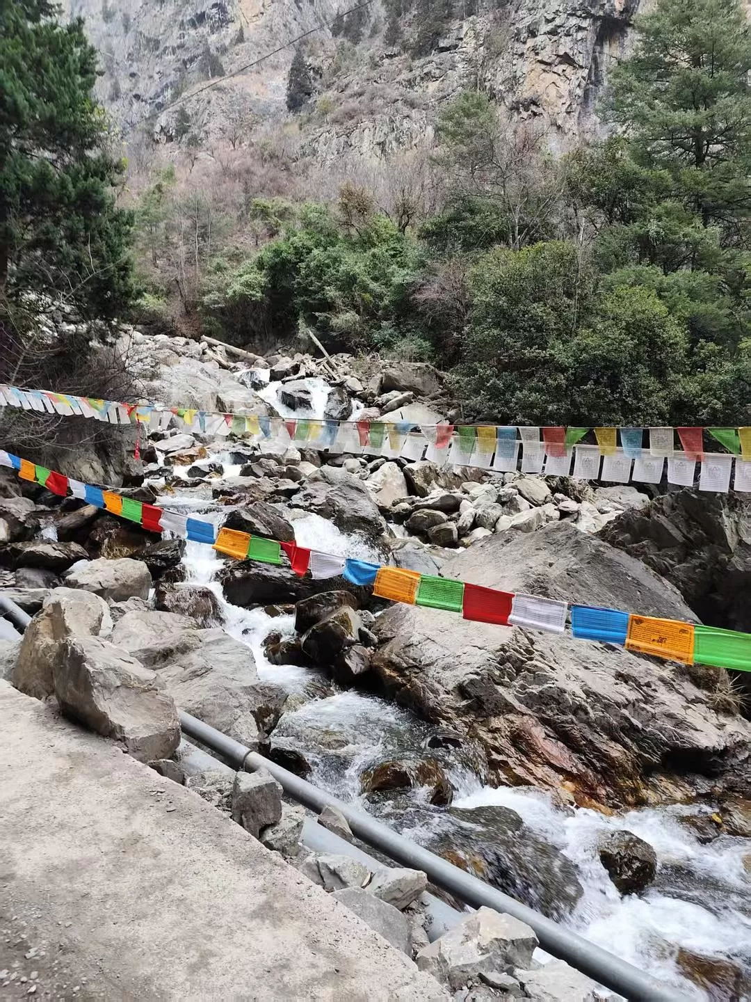 旅游推荐🥉一人游：雨崩&孔雀山&丽江&飞来寺&泸沽湖&香格里拉