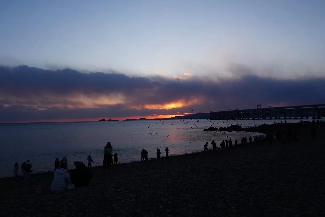 旅游推荐⚡两人游:大连烟台七天