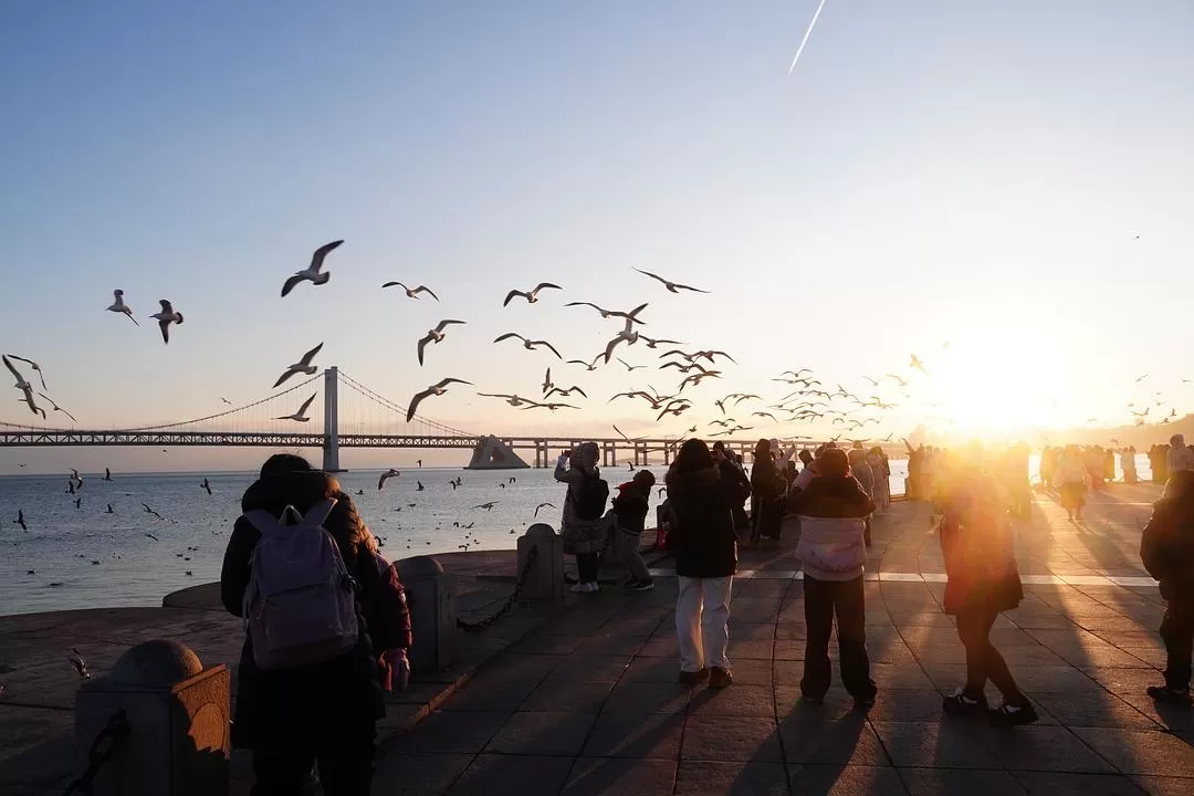旅游推荐⚡两人游:大连烟台七天