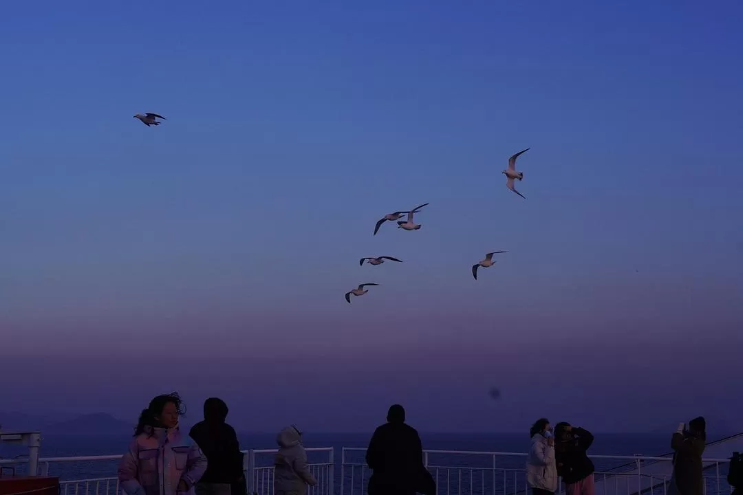 旅游推荐⚡两人游：大连烟台七天