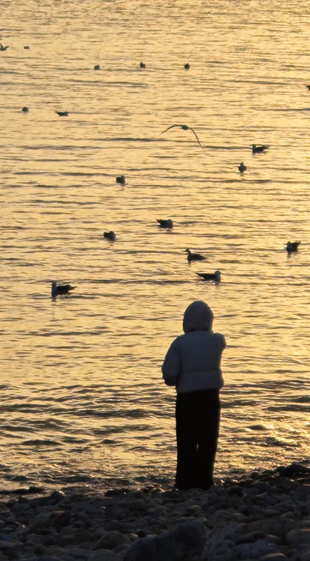 旅游推荐⚡两人游:大连烟台七天