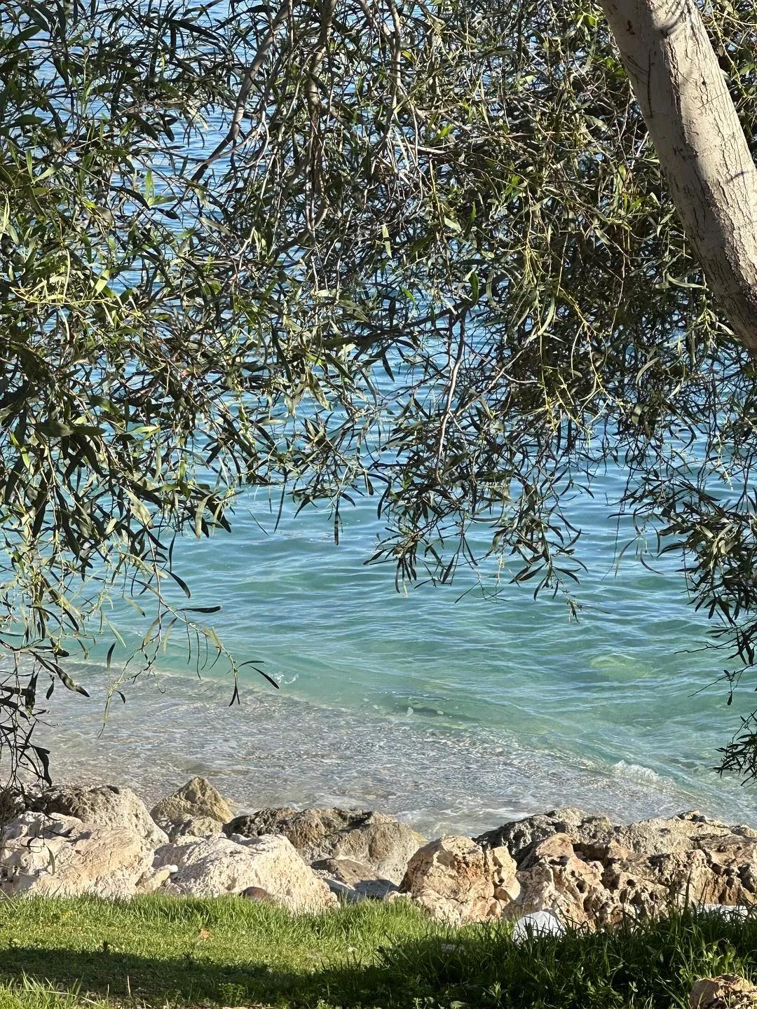 旅游推荐🉑一人游：春节土耳其🇹🇷环线十天九晚～这次跑远啦🤗