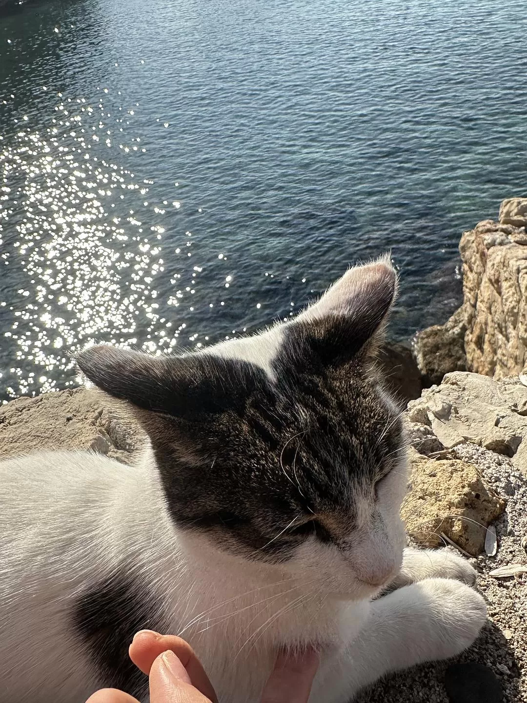 旅游推荐🉑一人游：春节土耳其🇹🇷环线十天九晚～这次跑远啦🤗