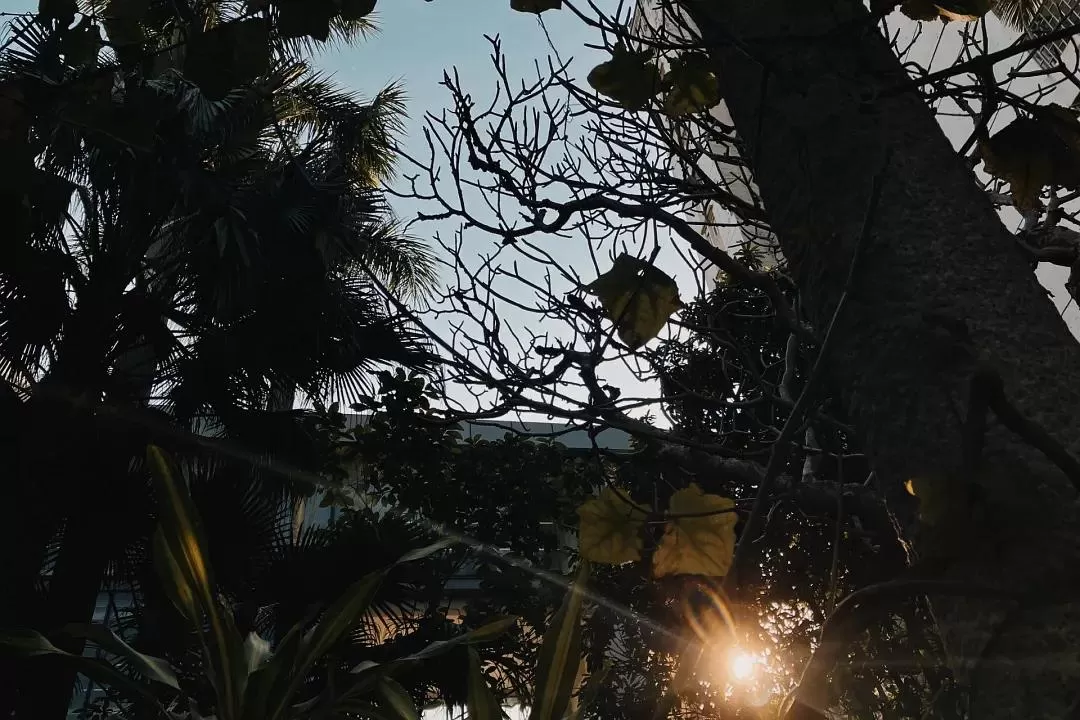 旅游推荐🉑一人游：半日澳门游