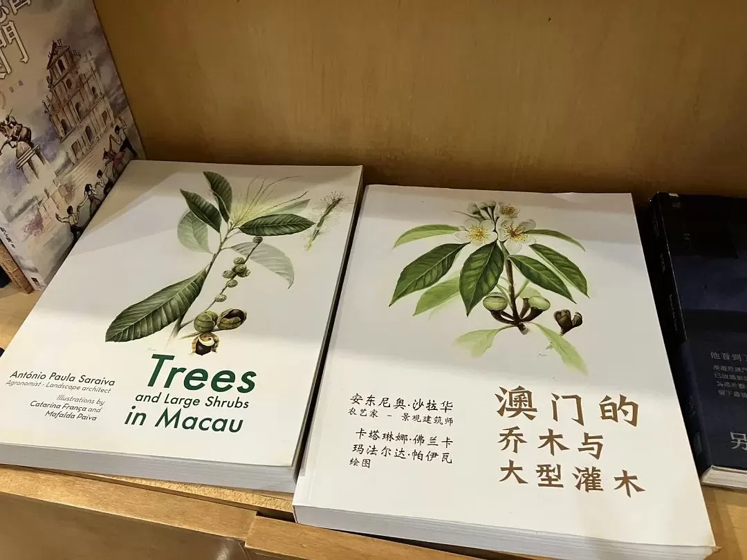 旅游推荐🉑一人游：半日澳门游