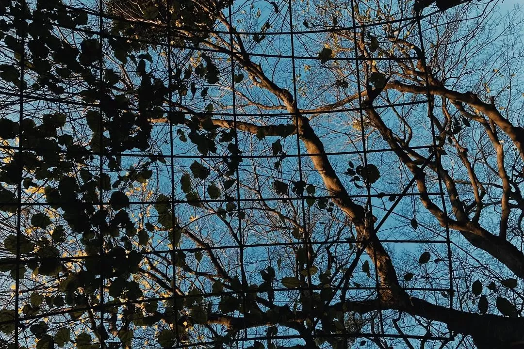 旅游推荐🉑一人游：半日澳门游